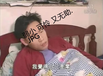 img11.jpg